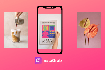 Instagram Carousel Downloader Demo