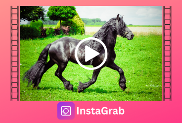 Video Downloader